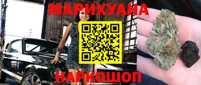 крисы Нальчик