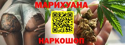 крисы Нальчик