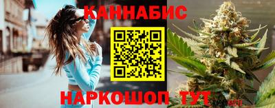крисы Нальчик