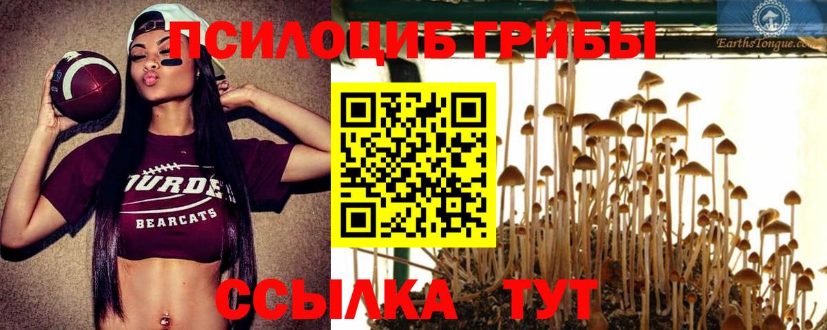 Псилоцибиновые грибы мухоморы Владимир